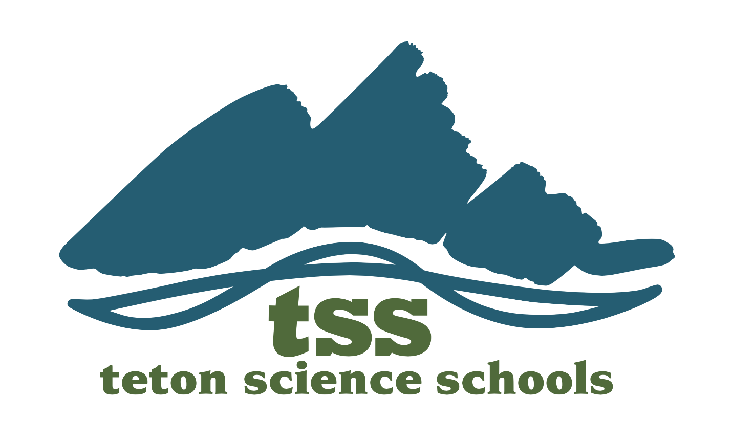 Place Network Schools